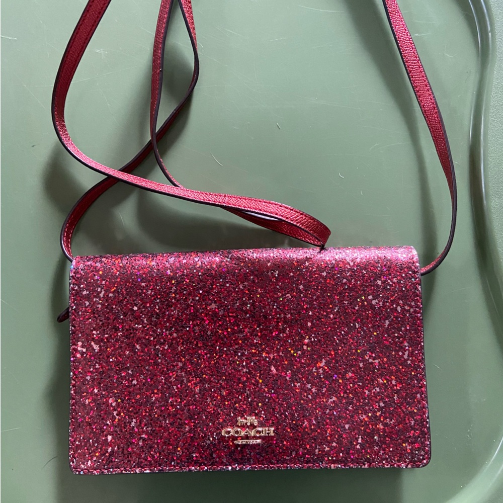 Coach Wizard of OZ purse